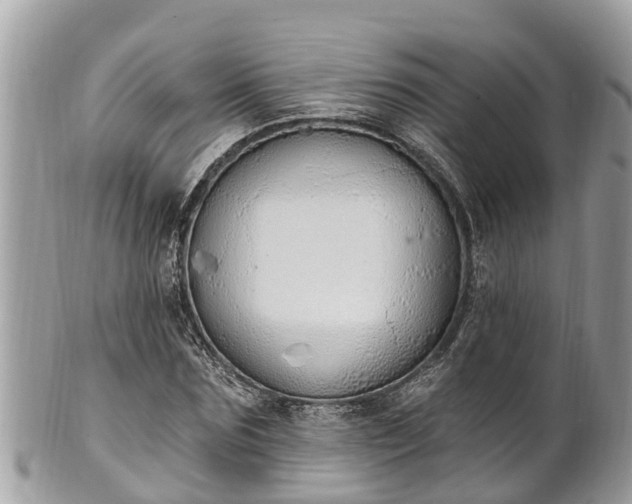 X0000101230875200807071409