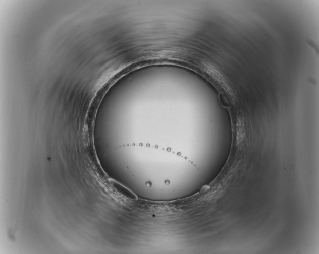 X0000101230876200807071409