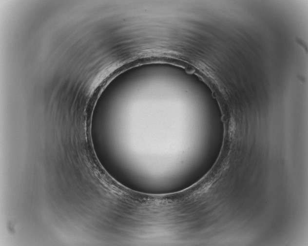 X0000101230877200807071409