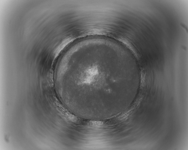 X0000101230878200807071409