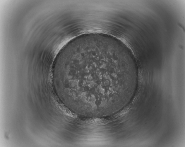 X0000101230879200807071409