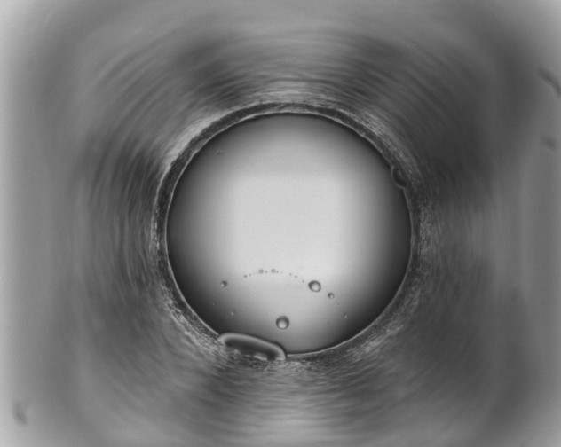 X0000101230880200807071409