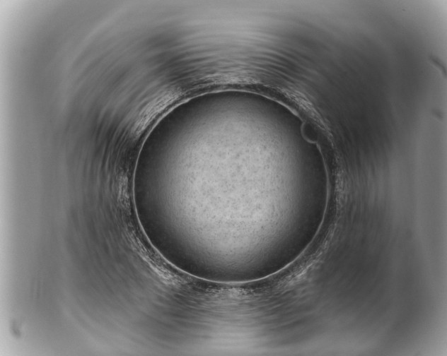 X0000101230881200807071409