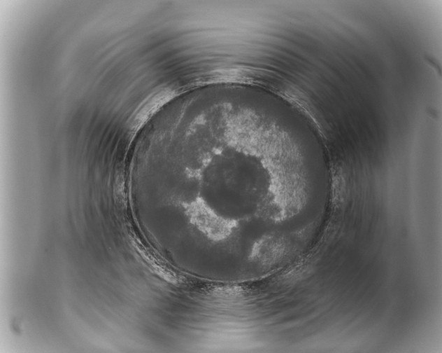 X0000101230882200807071409