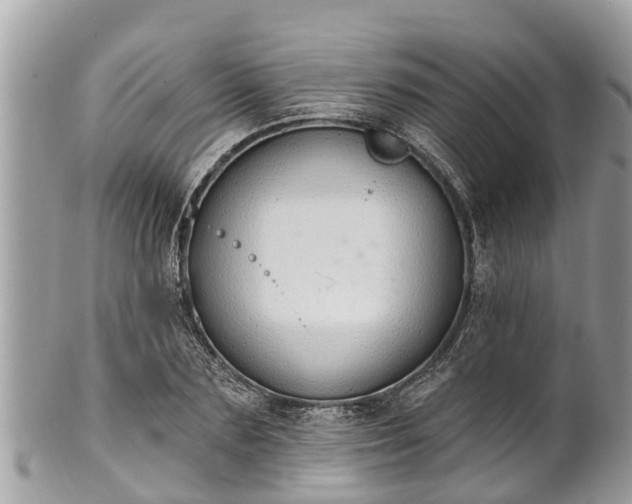 X0000101230883200807071409