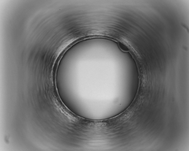 X0000101230884200807071409