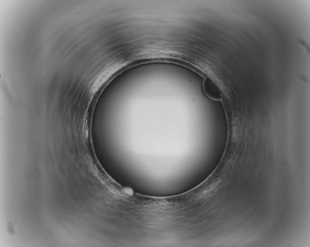 X0000101230885200807071409