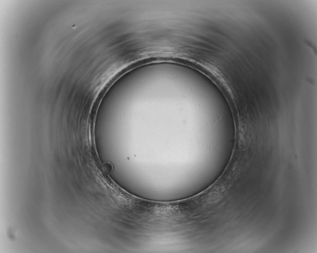 X0000101230887200807071409