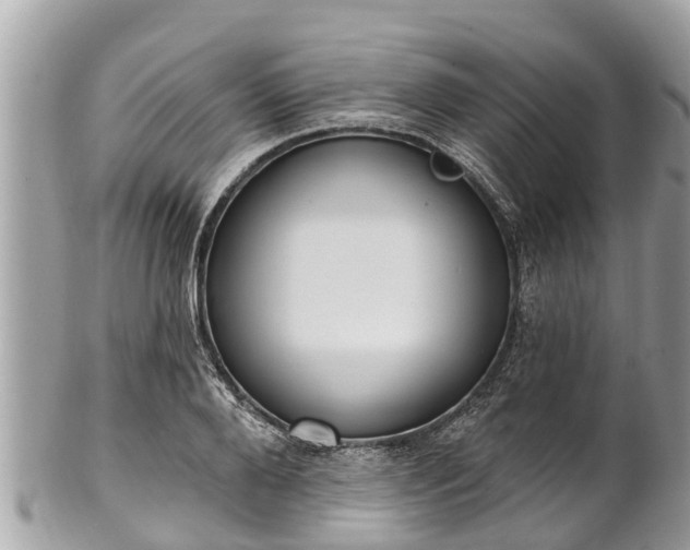 X0000101230888200807071409