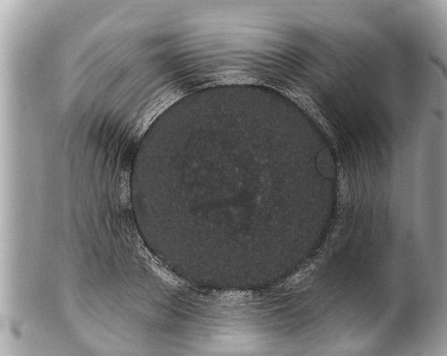 X0000101230889200807071409