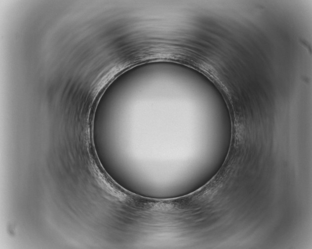 X0000101230890200807071409