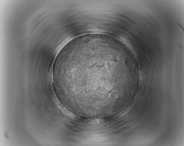 X0000101230891200807071409