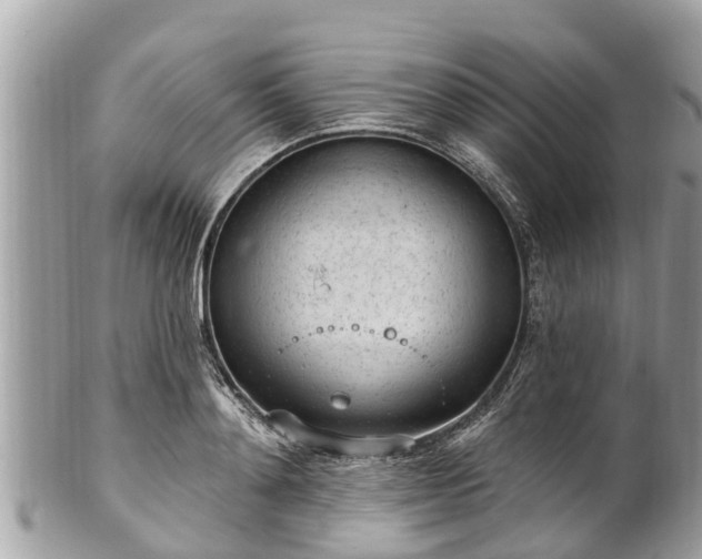 X0000101230892200807071409