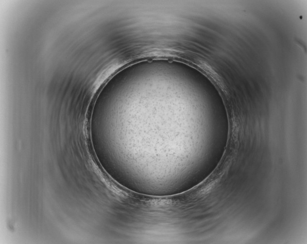 X0000101230893200807071409