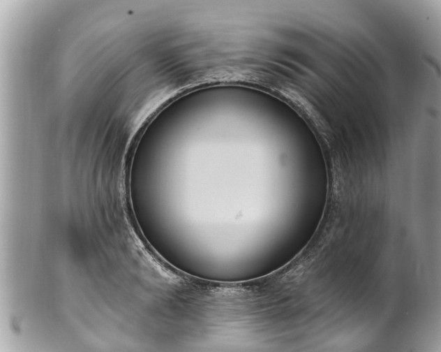 X0000101230894200807071409