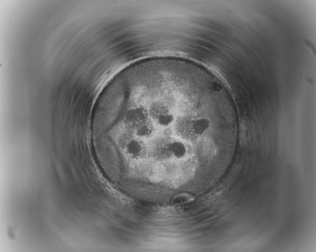 X0000101230895200807071409