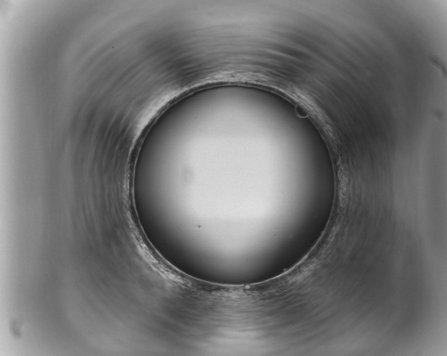 X0000101230896200807071409