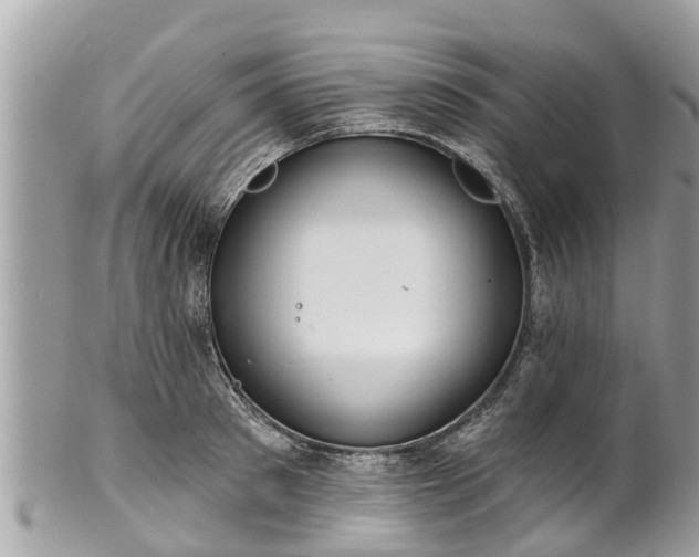 X0000101230897200807071409