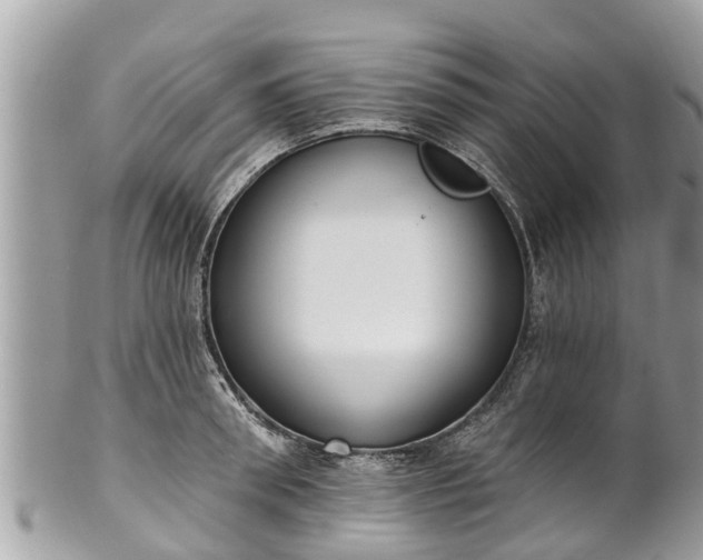 X0000101230898200807071409