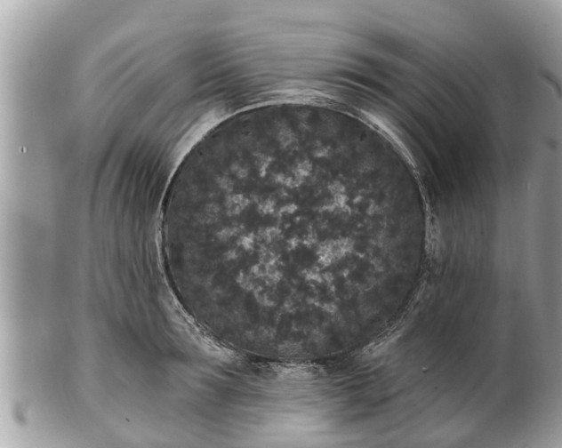 X0000101230899200807071409