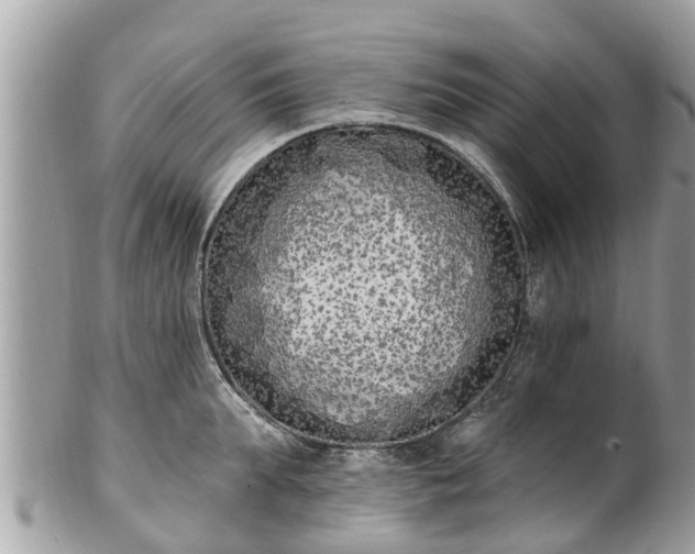 X0000101230903200807071409