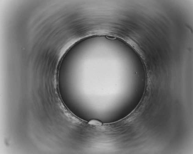 X0000101230904200807071409