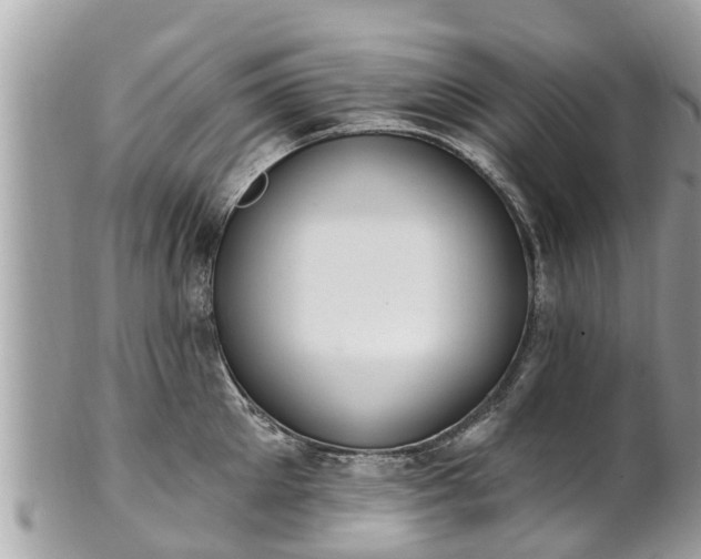 X0000101230905200807071409