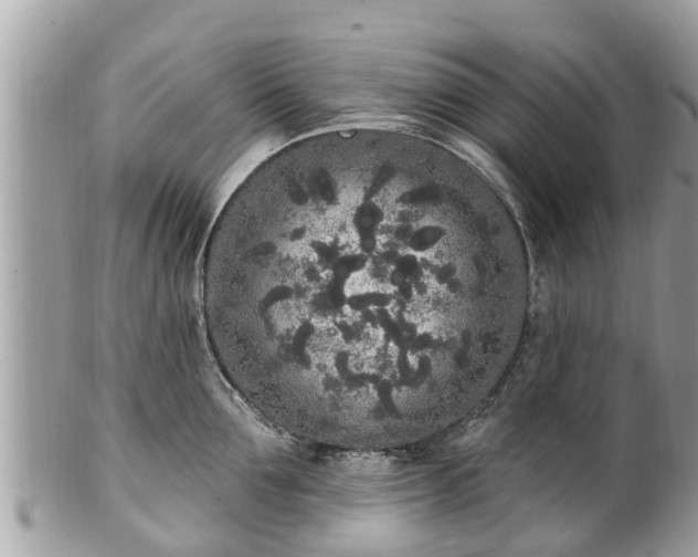 X0000101230907200807071409