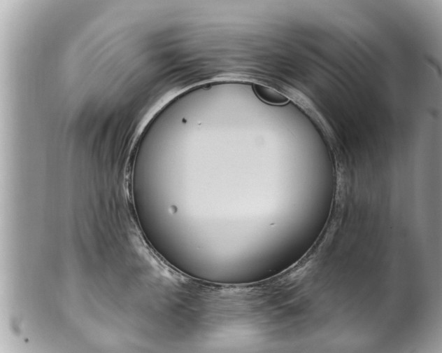 X0000101230908200807071409