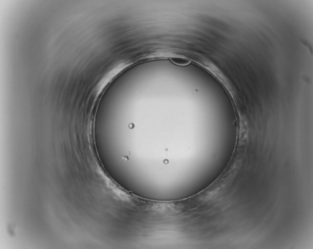 X0000101230909200807071409