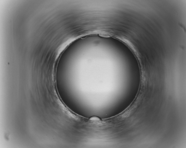 X0000101230910200807071409