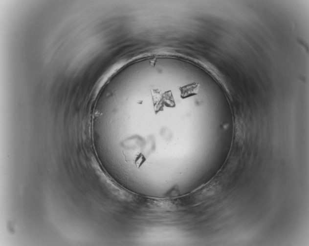 X0000101230911200807071409