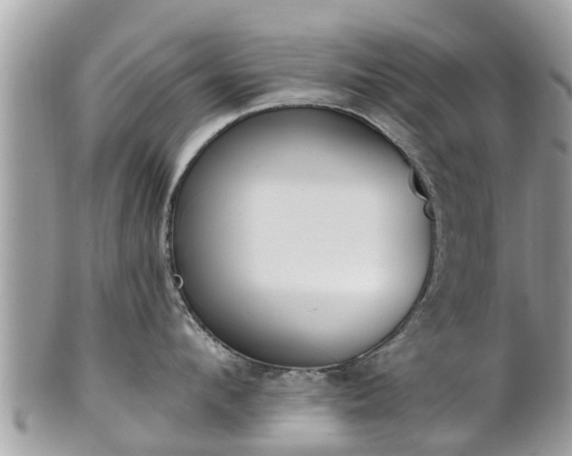 X0000101230912200807071409