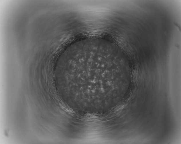 X0000101230913200807071408