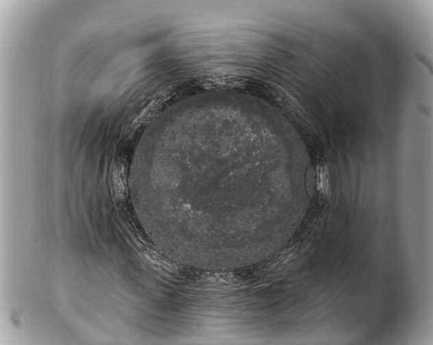 X0000101230915200807071408