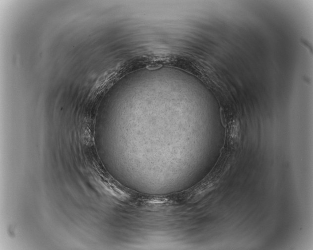 X0000101230916200807071408