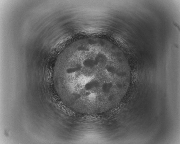 X0000101230917200807071408