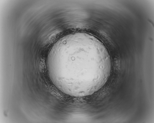 X0000101230918200807071408