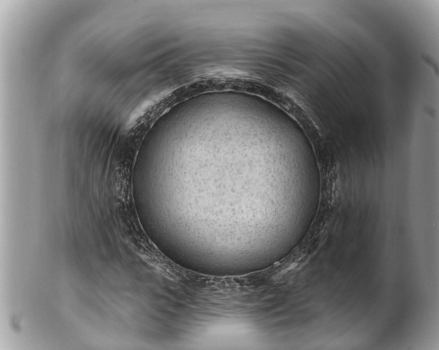 X0000101230919200807071408