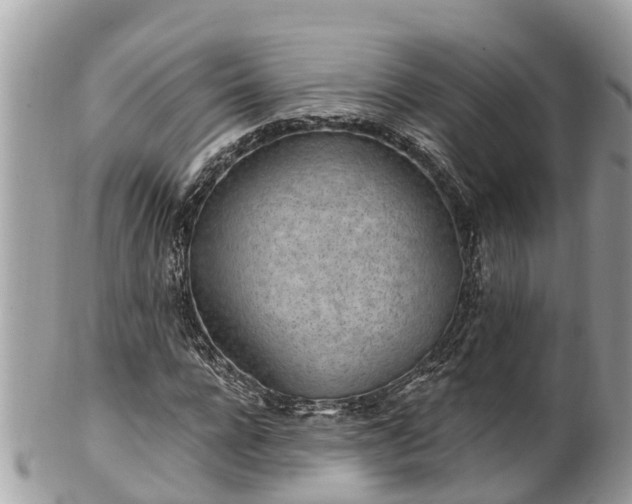 X0000101230920200807071408