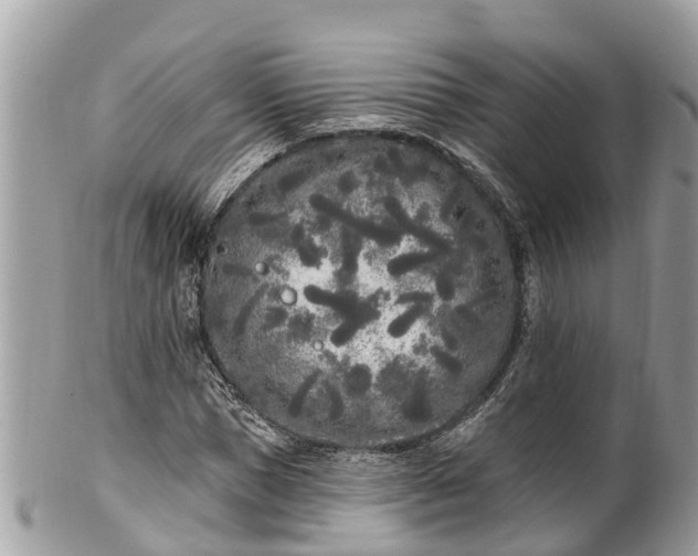 X0000101230921200807071408