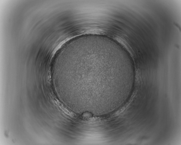 X0000101230923200807071408