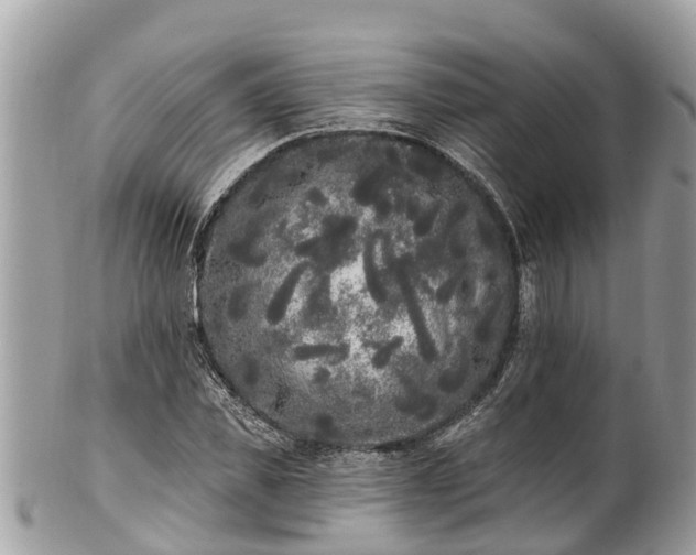 X0000101230925200807071408