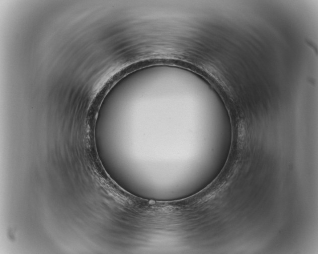 X0000101230926200807071408