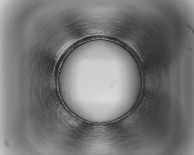 X0000101230927200807071408