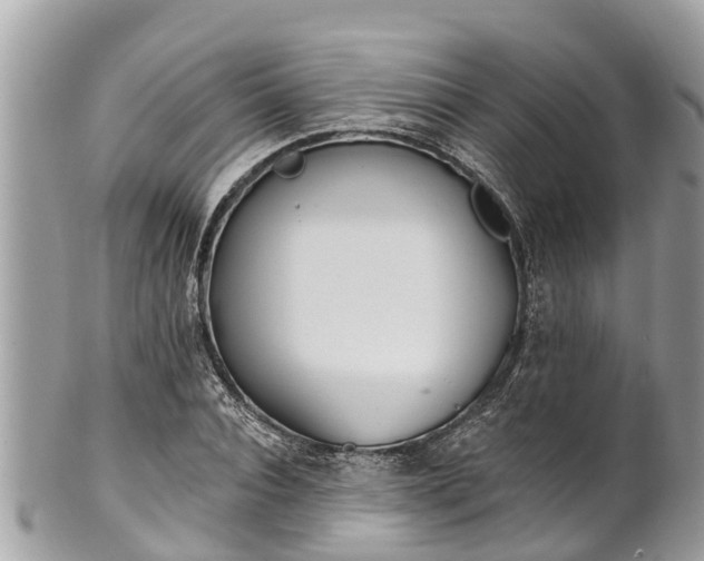 X0000101230928200807071408