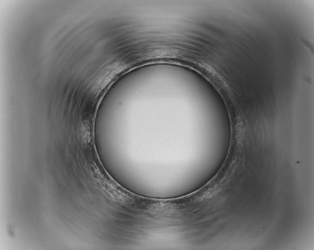 X0000101230929200807071408