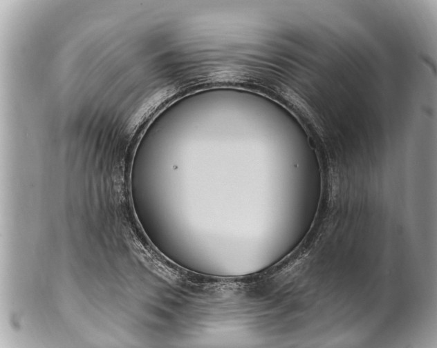 X0000101230930200807071408