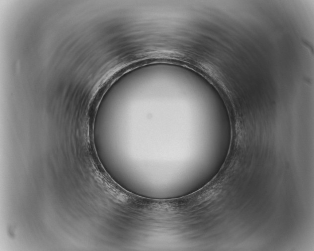 X0000101230931200807071408