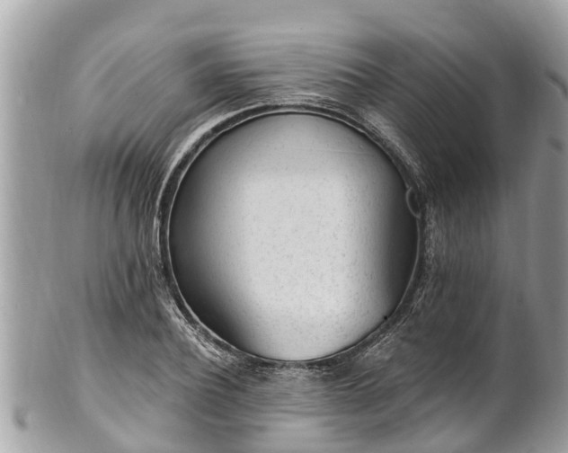 X0000101230932200807071408